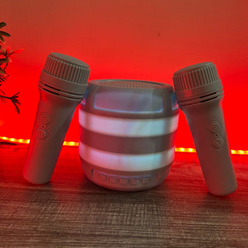 Dual Mic & Speaker Set