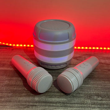 Dual Mic & Speaker Set