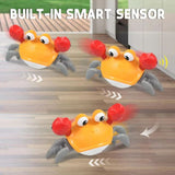 Crawling Crab Baby Sensory Toy