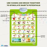 Talking Educational Chart for Kids