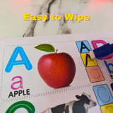 5-in-1 Write and Wipe Learning Book